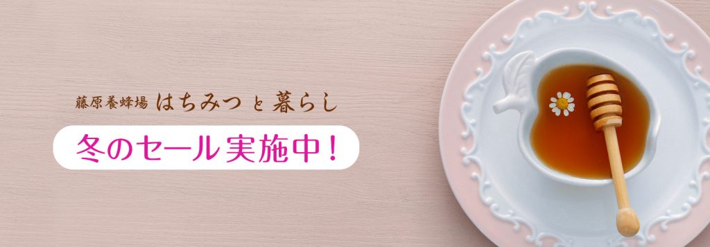 冬のセール実施中！