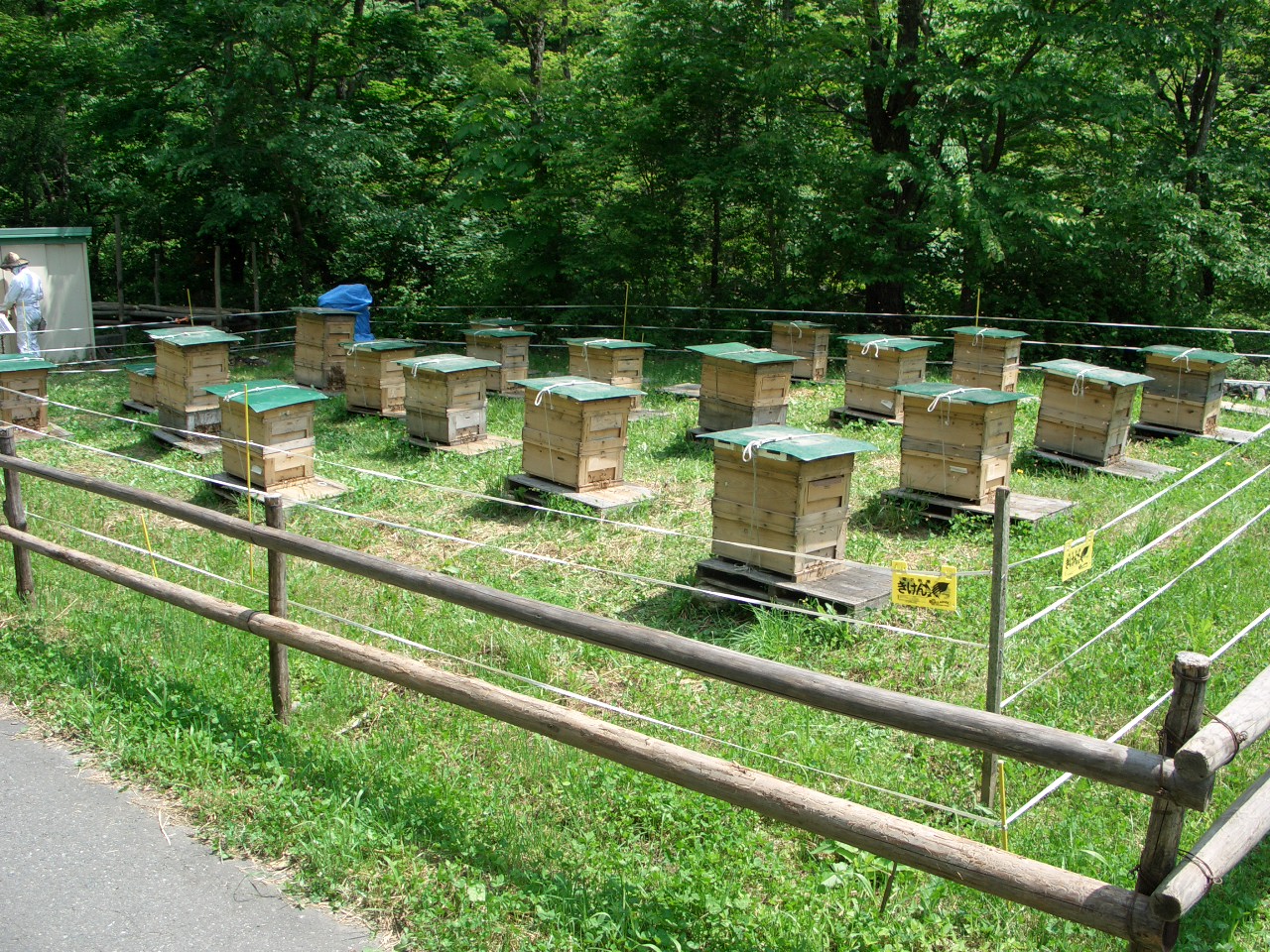岩手県内山間部の養蜂場