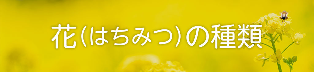 花（はちみつ）の種類