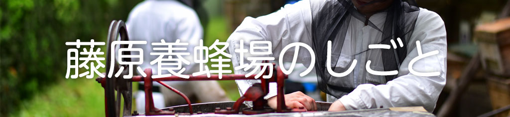 藤原養蜂場のしごと